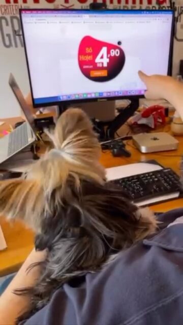 🚀 A MAIOR PLATAFORMA DE LEADS DO BRASIL
Gerando oportunidades reais desde 2014.

💰 Leads a partir de R$ 4,90
👉 Clicou, baixou. Simples assim.
⚡ Abastecimento online de oportunidades, todos os dias.

🎯 Segmentos mais procurados:
✍️ Consórcio
🔥 Plano de Saúde & Seguros
🏠 Imóvel – Minha Casa Minha Vida
🔝 Telecom PJ e PF
💄 Estética & Serviços de Saúde
💰 Empréstimo Consignado
📚 Ensino EAD e Presencial
🚙 Regularização de CNH & Serviços Jurídicos
📍 Negócios Locais & Projetos Especiais

📲 Quer vender mais ainda hoje?
👉 Clique e baixe seu LEAD agora mesmo!

www.toplead.com.br